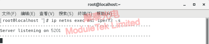 Run iperf3 server on ns1